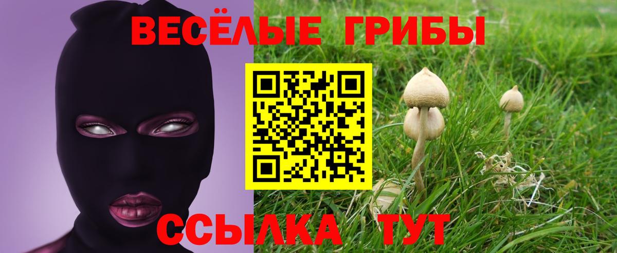 Галлюциногенные грибы ЛСД  Вход с VPN  Сегежа  Галлюциногенные грибы Psilocybine cubensis 