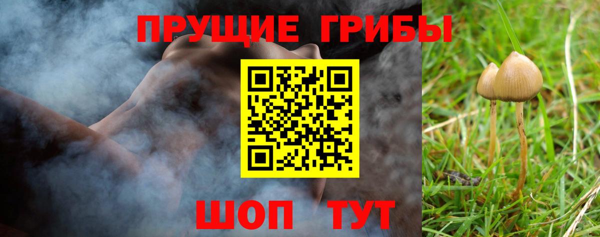 Псилоцибиновые грибы Magic Shrooms Сегежа
